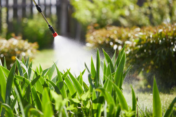 Tamper-Resistant Bait Stations for Rodents in Meridian Village