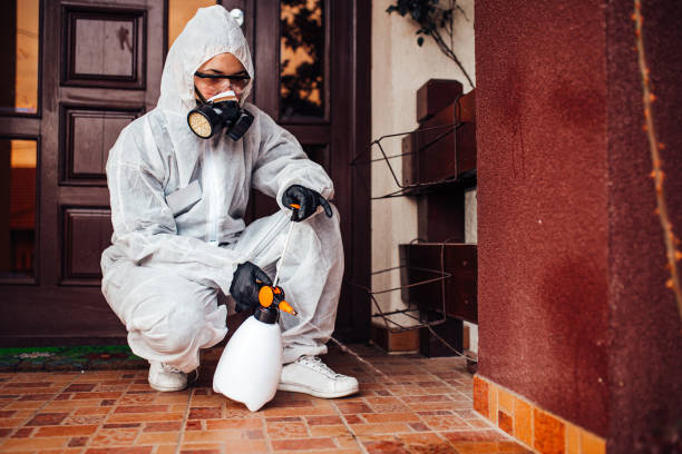 Attic and Crawl Space Rodent Treatment in Meridian Village