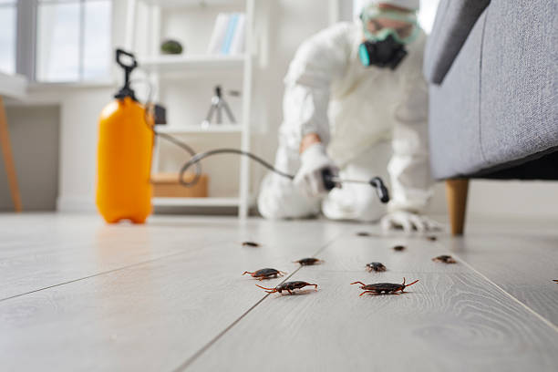 Commercial Rodent Management in Meridian Village